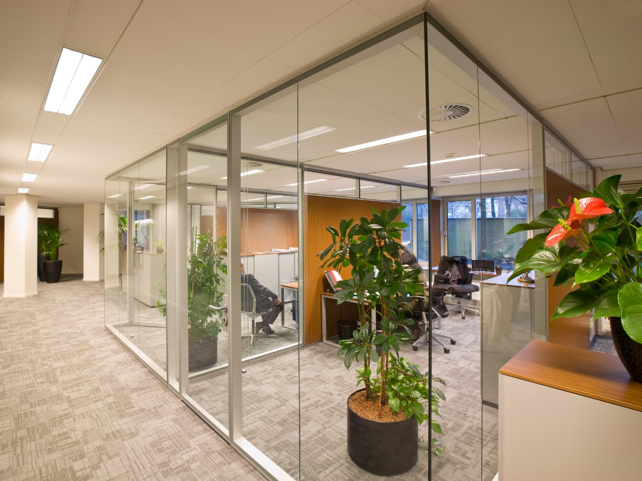 frameless-glass-walled-partitioned-office